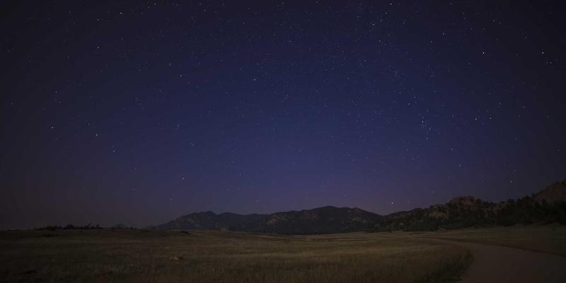 廊坊养宠家庭装修全攻略：从安全材料到空间规划，打造宠物友好之家