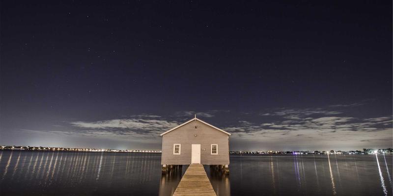 廊坊养狗必看：狗证办理全流程指南与宠物医院、用品一站式攻略