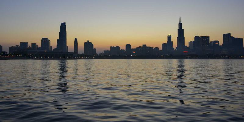 廊坊宠物21：一站式指南，掌握宠物医疗与用品选择智慧