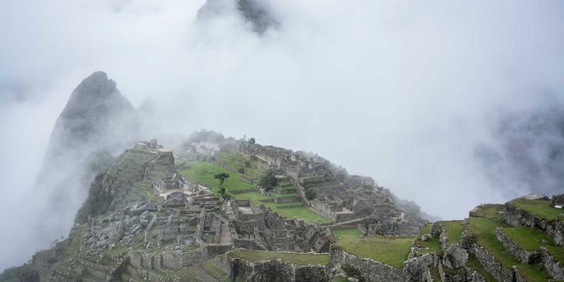 廊坊宠物28：一站式解决宠物需求，宠物商城、医院与用品全指南