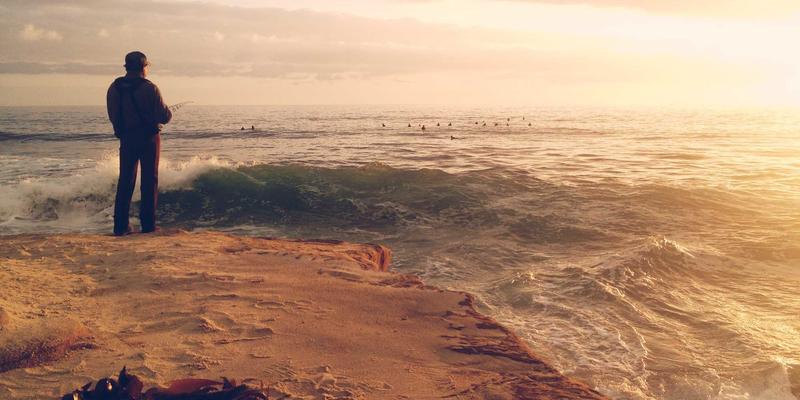 廊坊宠物52：一站式宠物健康与生活指南，守护您的爱宠