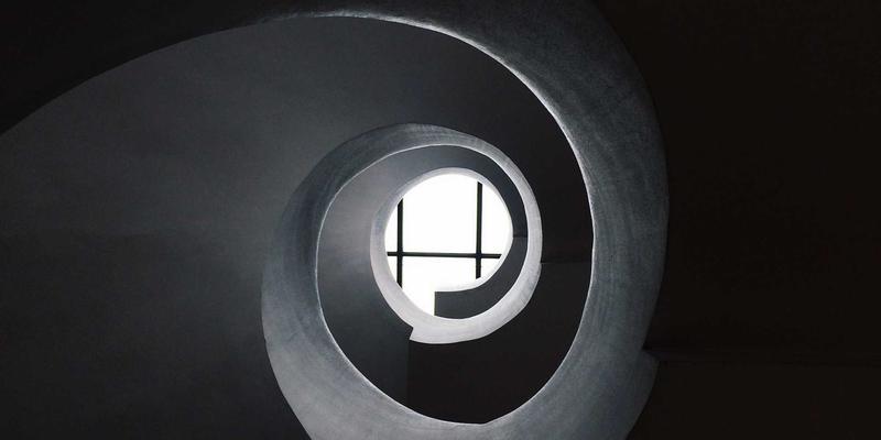 廊坊宠物63：一站式解决宠物医疗、购物与美容需求的全方位指南