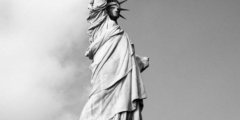 廊坊宠物84：一站式解决宠物商城、医疗与寄养需求的全方位指南