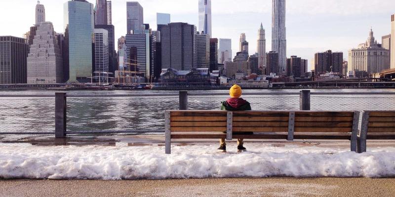 廊坊宠物88：一站式解决宠物美容、用品与医疗需求的爱宠生活指南