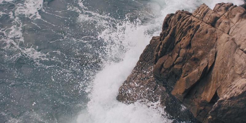 廊坊宠物94:一站式解决宠物医疗与寄养需求的全攻略