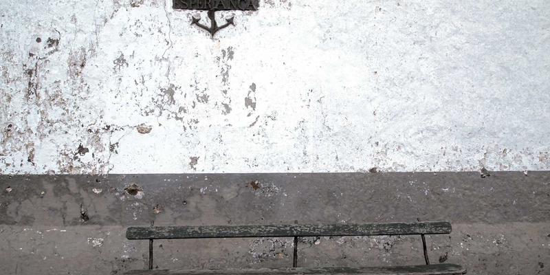 廊坊宠物主必看：家庭自制零食DIY教程，避开宠物医院与寄养烦恼，营养又省钱