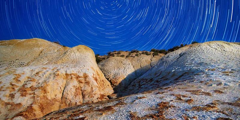 廊坊宠物主必读指南：科学选择宠物食品、安心寄养与专业医疗