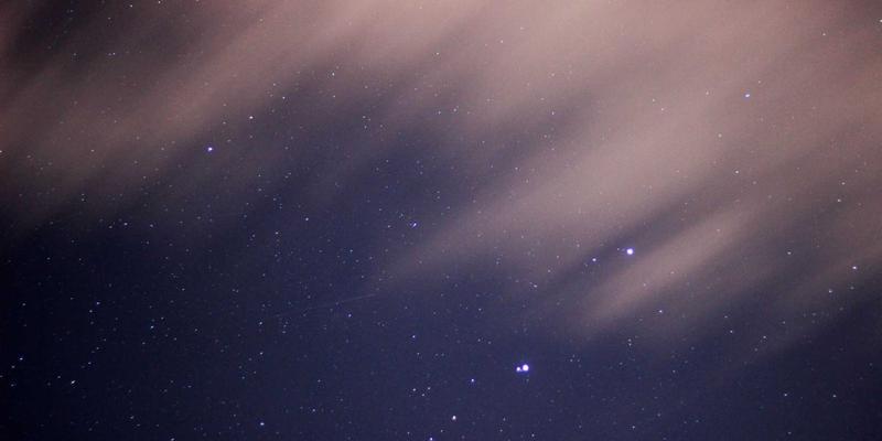 廊坊宠物主题周末游攻略：精选可带宠物公园、景区与民宿，附宠物医疗与商城指南