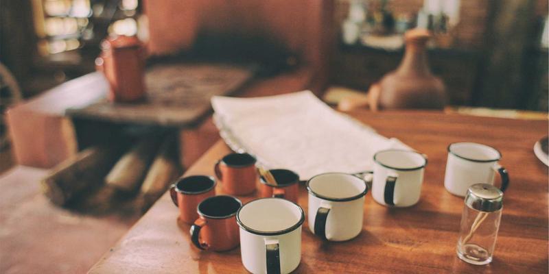 廊坊宠物分离焦虑症怎么办？专业宠物医院指导与宠物商城安抚神器推荐