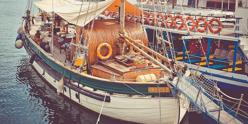 廊坊宠物医疗、医院与寄养全指南：为爱宠提供专业守护