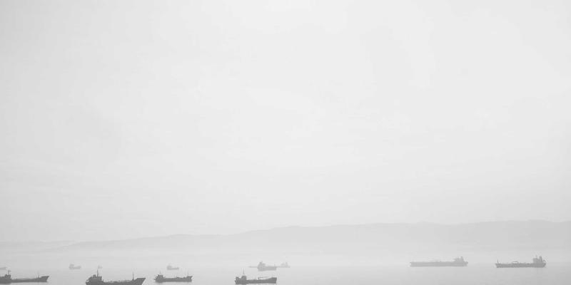 廊坊宠物友好场所全攻略：带毛孩子逛街吃饭，还能找到靠谱宠物医院