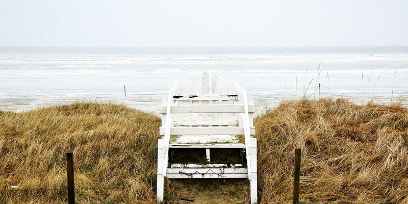 廊坊宠物友好指南：主题咖啡馆、餐厅推荐与一站式宠物服务