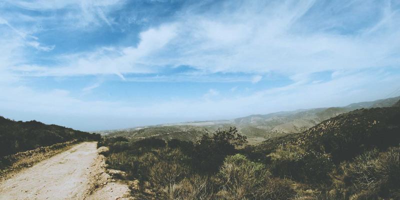 廊坊宠物商城全攻略:优质宠物食品与一站式购物指南