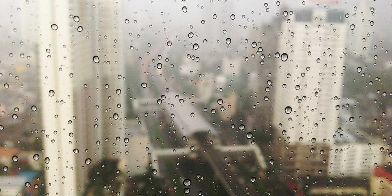 廊坊宠物家庭消毒全攻略：兼顾宠物美容与寄养安全的环境清洁指南