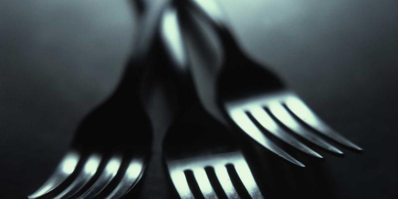 廊坊宠物寄养服务全对比：宠物商城与宠物医院，节假日如何选择靠谱寄养？