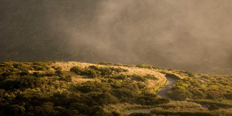 廊坊宠物服务全解析：从科学喂养到精致美容，守护爱宠健康与美丽