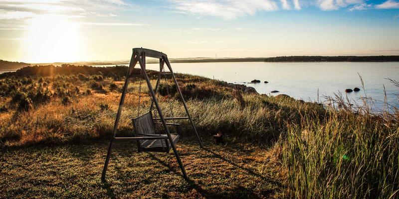 廊坊宠物殡葬与纪念服务指南：在告别中寻找慰藉，从宠物食品到寄养的全程关怀