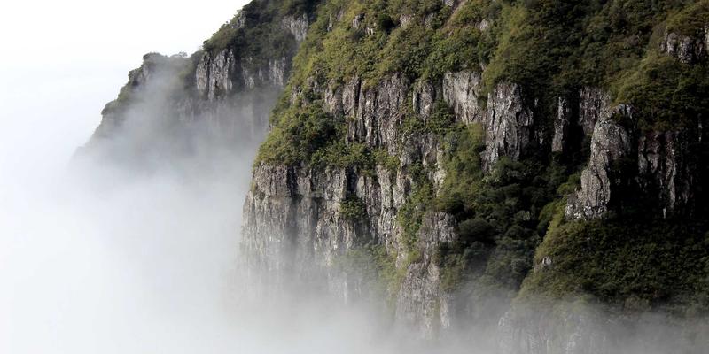 廊坊宠物消费升级观察：从宠物商城、用品到食品的精细化运营案例解析
