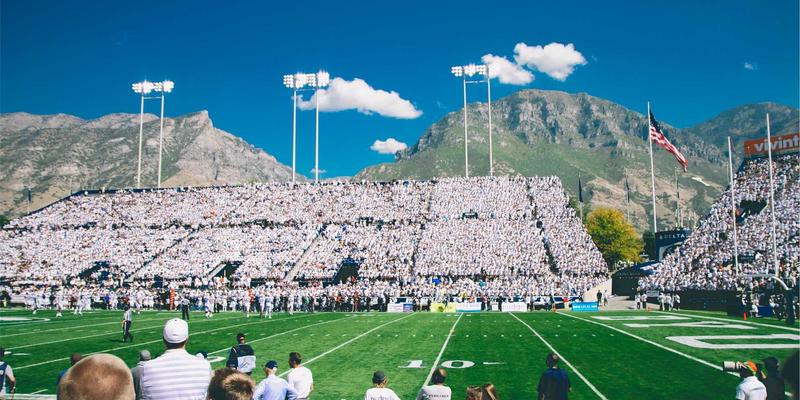 廊坊宠物消费指南：如何为爱宠挑选优质食品与用品