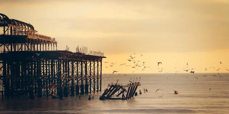 廊坊宠物生活全指南：从医疗、食品到寄养的贴心守护