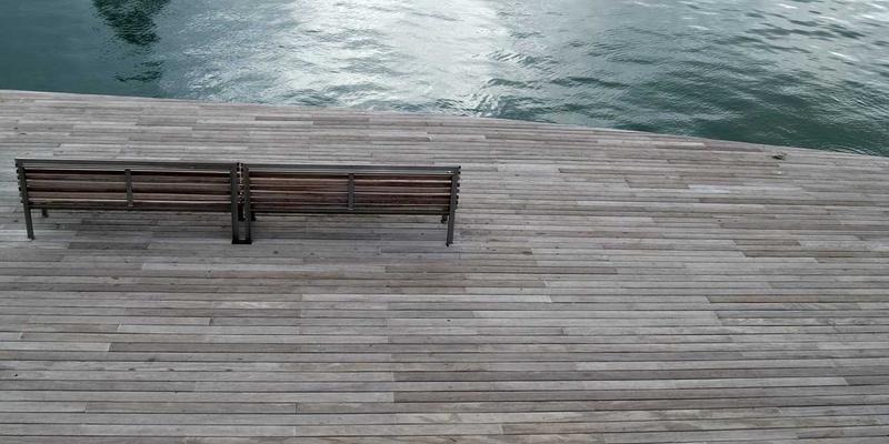 廊坊宠物生活全指南：从宠物用品选购到专业寄养服务