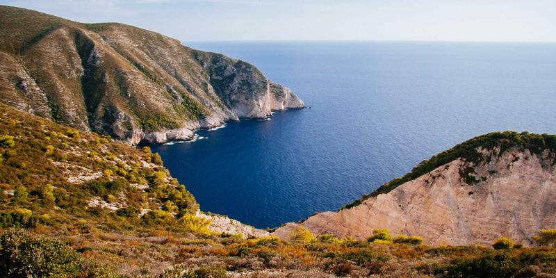 廊坊宠物生活全指南：从宠物用品选购到安心寄养的一站式解决方案