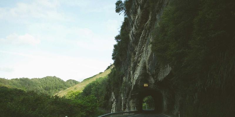 廊坊宠物生活全指南：特色活动、专业医院与优质用品推荐