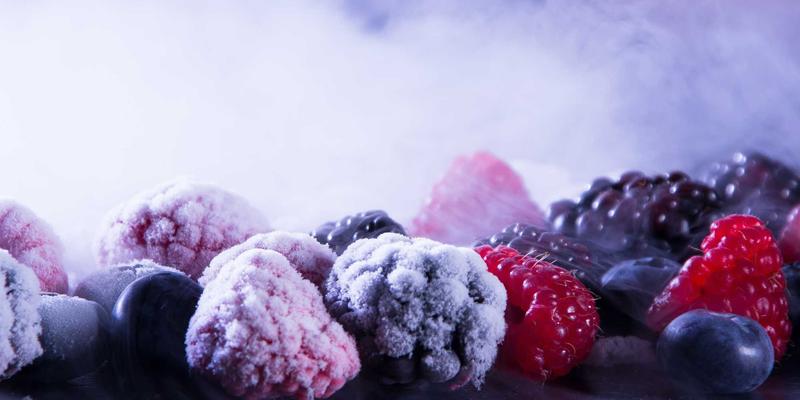 廊坊宠物生活全指南：美容、用品与寄养的一站式解决方案