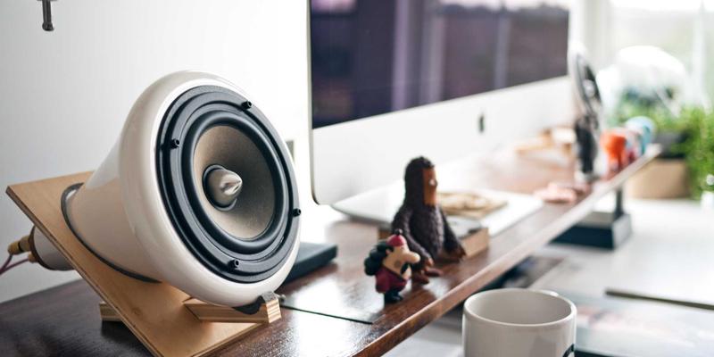 廊坊宠物生活全攻略：从宠物商城、用品到医院的完整生态指南