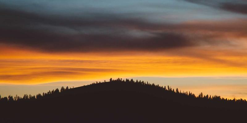 廊坊宠物生活全攻略：从科学喂养到安心寄养，一站式宠物服务指南