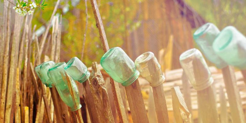 廊坊宠物生活全攻略:从食品、医疗到美容的一站式指南