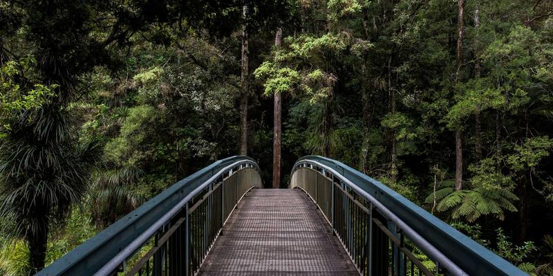 廊坊宠物生活全攻略：医疗、寄养、购物一站式解决方案