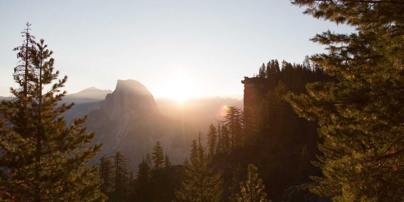 廊坊宠物用品与食品全攻略：为您的爱宠打造健康生活