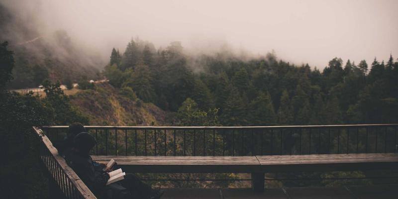 廊坊宠物美容哪里好？精选靠谱宠物美容店与医院推荐