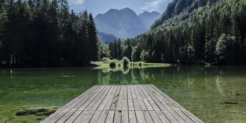 廊坊宠物训练学校推荐：纠正狗狗不良行为，让爱宠更懂你