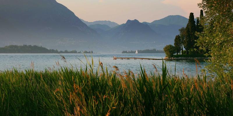 廊坊宠物领养全流程解析：从正规渠道、手续准备到领养后适应与必备宠物用品、医疗、寄养指南