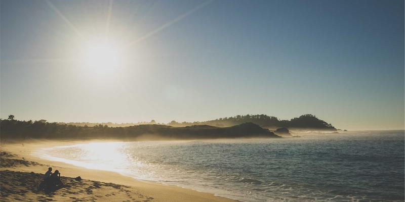 廊坊宠物驱虫全攻略：季节周期、药品选择与本地兽医专业建议