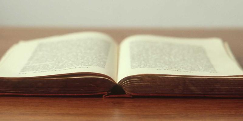 廊坊家庭多宠物科学相处指南：从引入新成员到化解冲突的实用策略