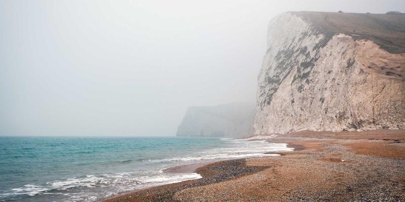 廊坊老年宠物养护指南：从宠物食品选择到宠物医疗，全面提升晚年生活质量